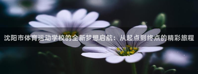 MK体育官网下载平台是正规平台吗知乎：沈阳市体育运动