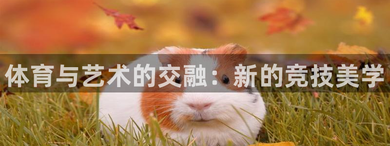 MK体育官方正版app新能源：体育与艺术的交融：新的