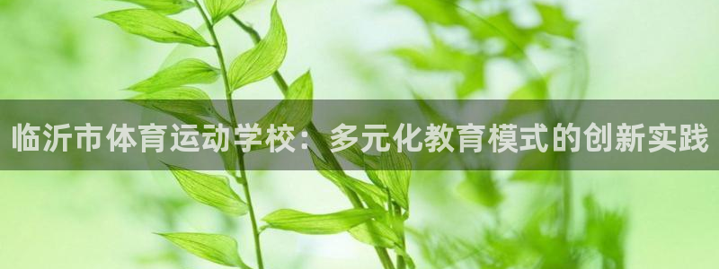 MK体育官网下载平台是正规平台吗：临沂市体育运动学校：多元化