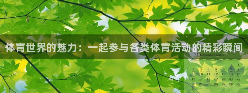 MK体育官网下载平台是正规平台吗知乎：体育世界的魅力