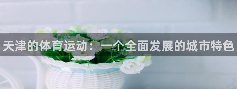 MK体育官网下载注册：天津的体育运动：一个全面发展的