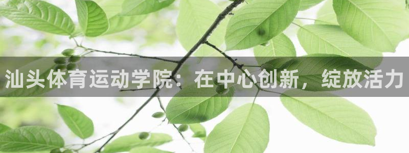 MK体育官方平台体育：汕头体育运动学院：在中心创新，