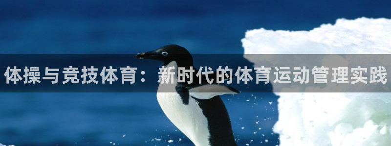 MK体育官方正版app娱乐首页官网下载：体操与竞技体