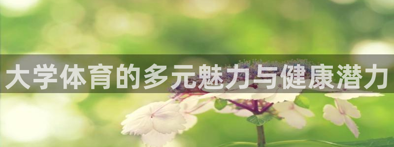 MK体育官网下载招商电话是多少啊：大学体育的多元魅力与健康潜