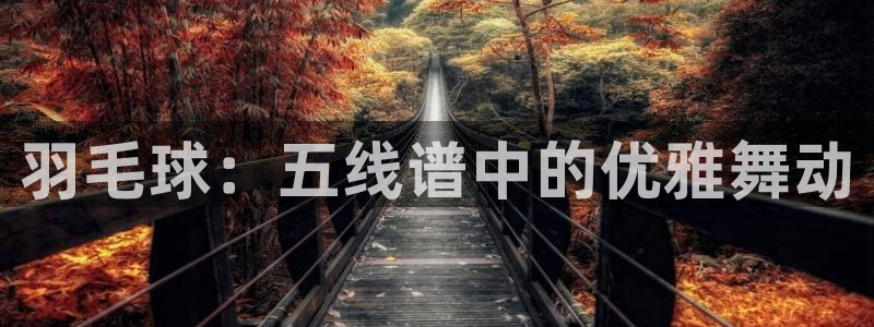 MK体育官方正版app开户：羽毛球：五线谱中的优雅舞动