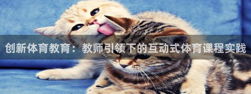 MK体育官网下载平台注册：创新体育教育：教师引领下的互动式体