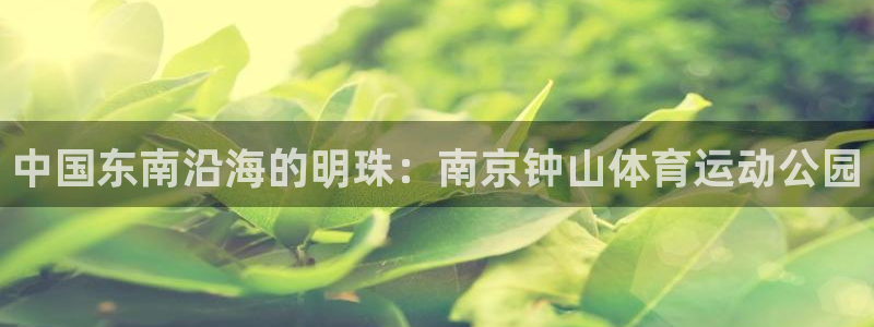 海南MK体育官网下载发展怎么样：中国东南沿海的明珠：南京钟山
