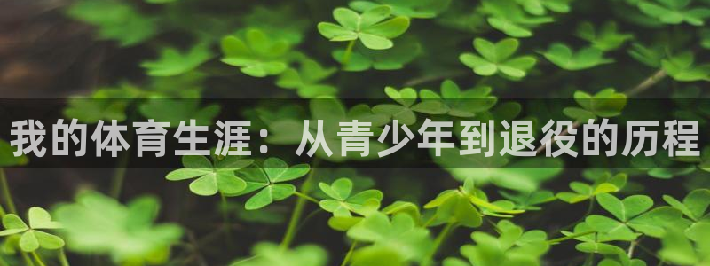 MK体育官网下载平台注册流程视频：我的体育生涯：从青