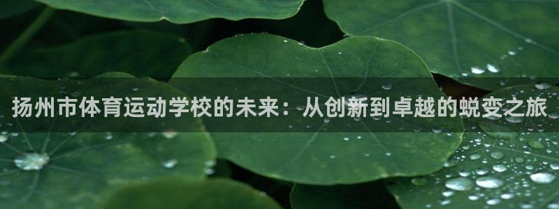 MK体育官方正版app集团logo：扬州市体育运动学