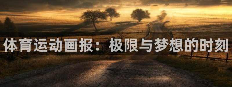 MK体育官网下载平台是正规平台吗安全吗：体育运动画报