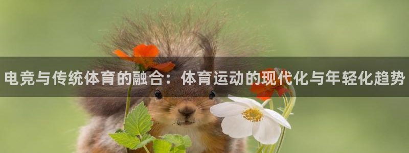 MK体育官方正版app代理：电竞与传统体育的融合：体育运动的