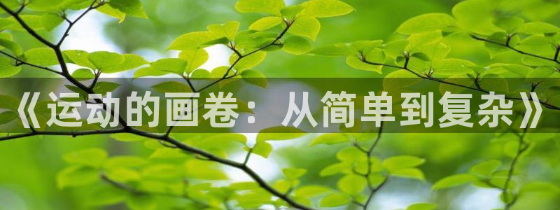 MK体育官方正版app集团logo：《运动的画卷：从简单到复