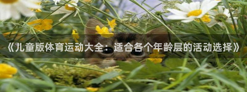 MK体育官方正版app官方：《儿童版体育运动大全：适合各个年