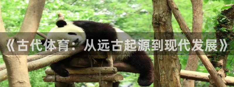 MK体育官网下载平台