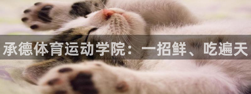 MK体育官网下载招商电话地址查询：承德体育运动学院：