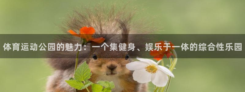 MK体育官方平台体育：体育运动公园的魅力：一个集健身、娱乐于