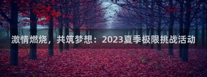 MK体育官网下载开户：激情燃烧，共筑梦想：2023夏季极限挑