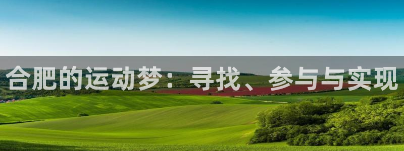 MK体育官方正版app集团官网首页网址：合肥的运动梦