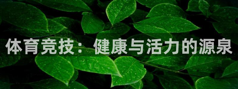 MK体育官网下载招商电话号码是多少：体育竞技：健康与活力的源