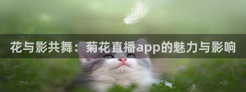 熊猫体育直播nba：花与影共舞：菊花直播app的魅力与影响