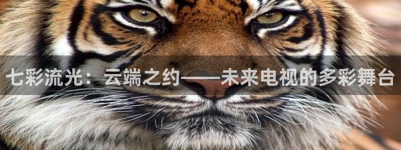熊猫直播免费观看：七彩流光：云端之约——未来电视的多彩舞台