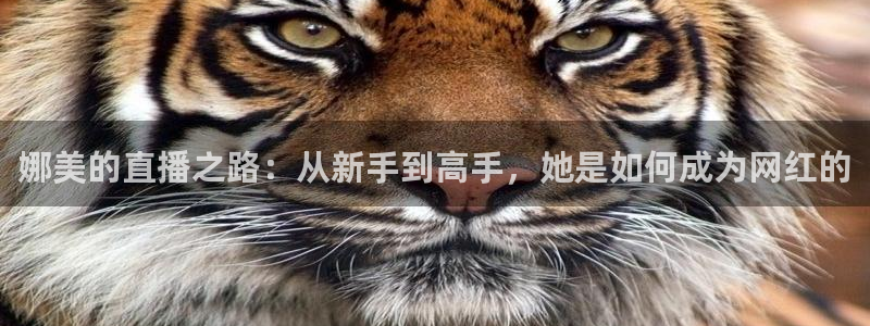 熊猫体育在线观看：娜美的直播之路：从新手到高手，她是如何成为网红的