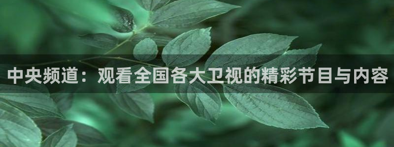熊猫体育直播：中央频道：观看全国各大卫视的精彩节目与内容