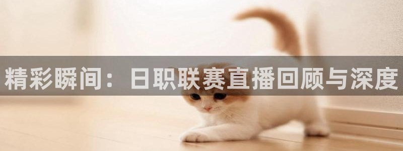 直播熊猫：精彩瞬间：日职联赛直播回顾与深度
