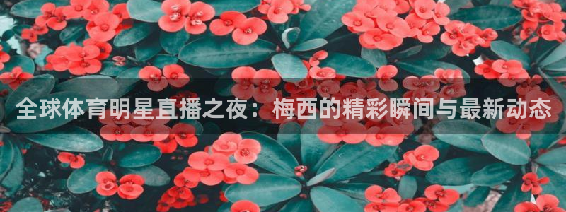 熊猫杯足球直播：全球体育明星直播之夜：梅西的精彩瞬间与最新动态