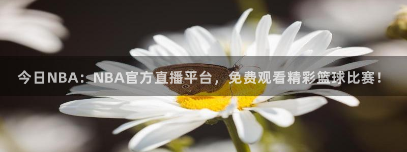 熊猫直播平台：今日NBA：NBA官方直播平台，免费观看精彩篮球比赛！